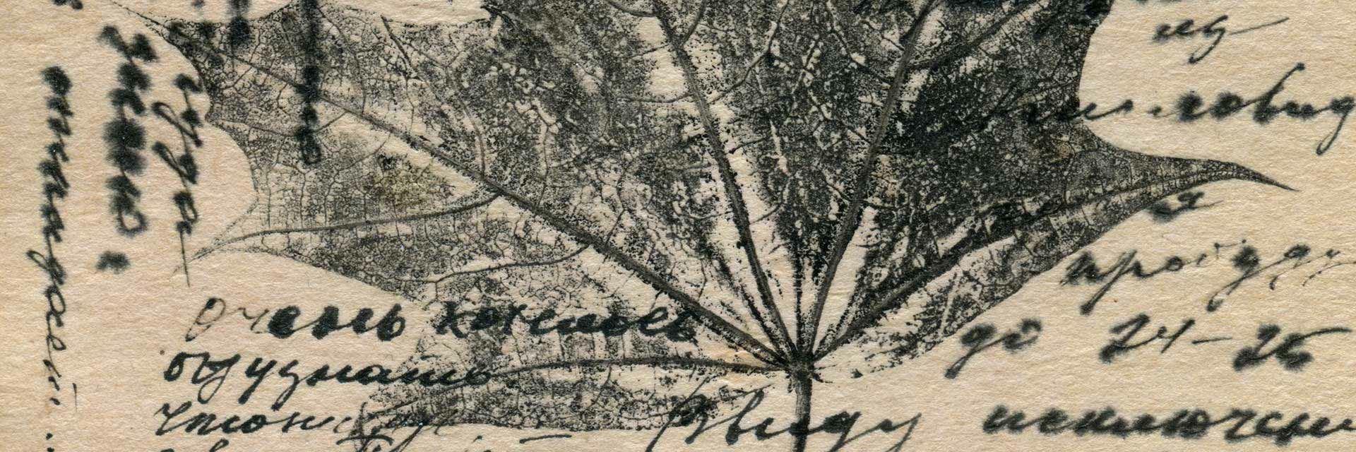 Bild mit stilisierter Tuschezeichnung im Impressum vom Netzwerk Fortbildung